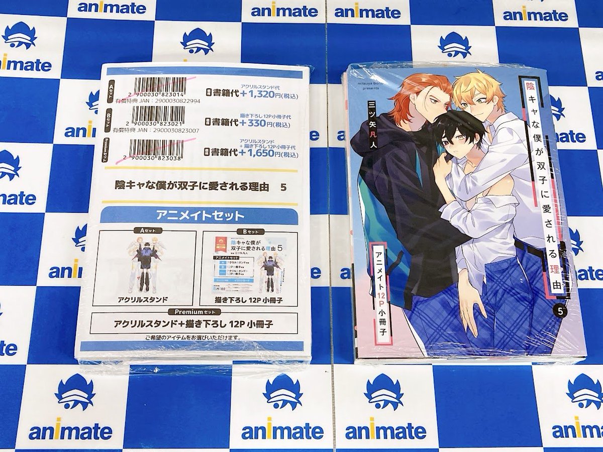 BL 特典　アニメイト他　リーフレット/小冊子 BL漫画 特典付きまとめ アニメイト 小冊子 リーフレット ￥4,000