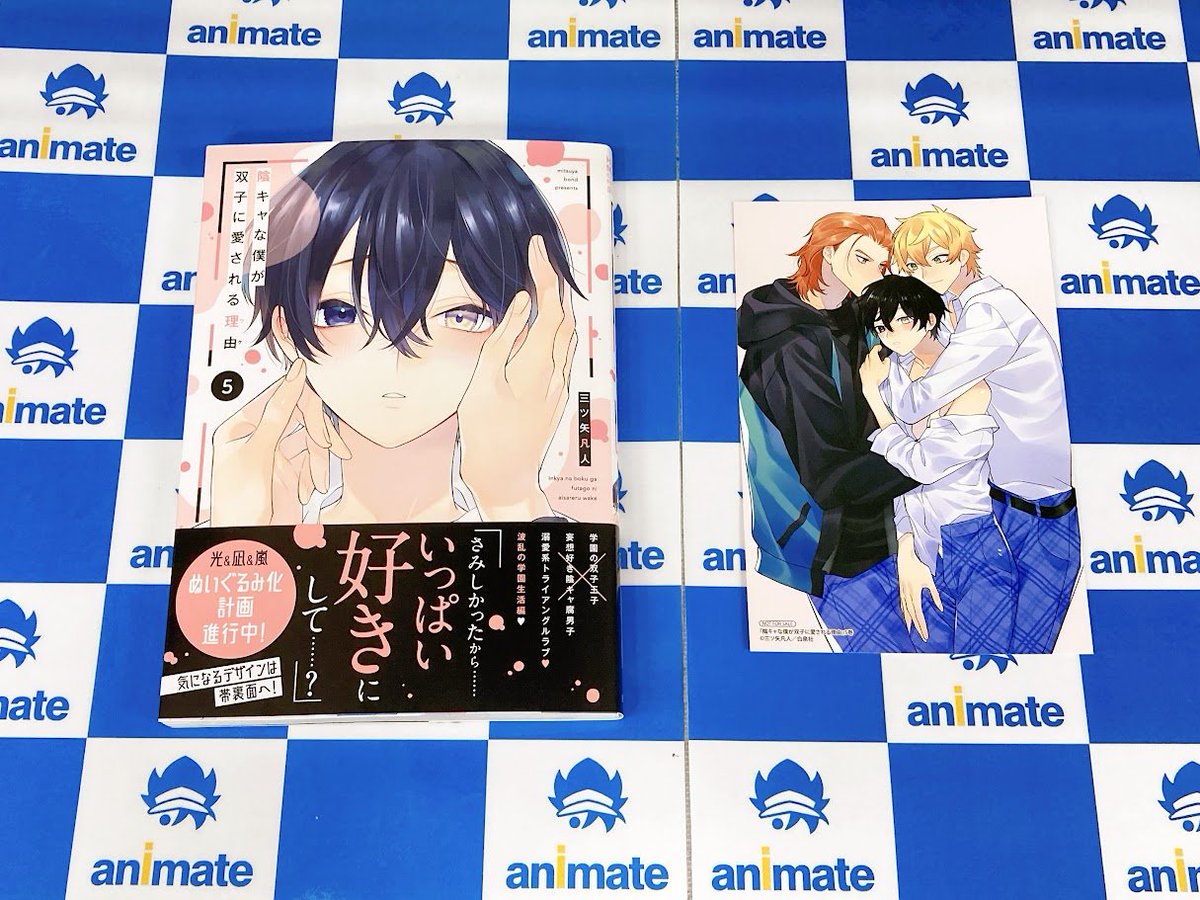 BL 特典　アニメイト他　リーフレット/小冊子 📚書籍入荷情報📚】 『陰キャな僕が双子に愛される理由 (4)』通常版
