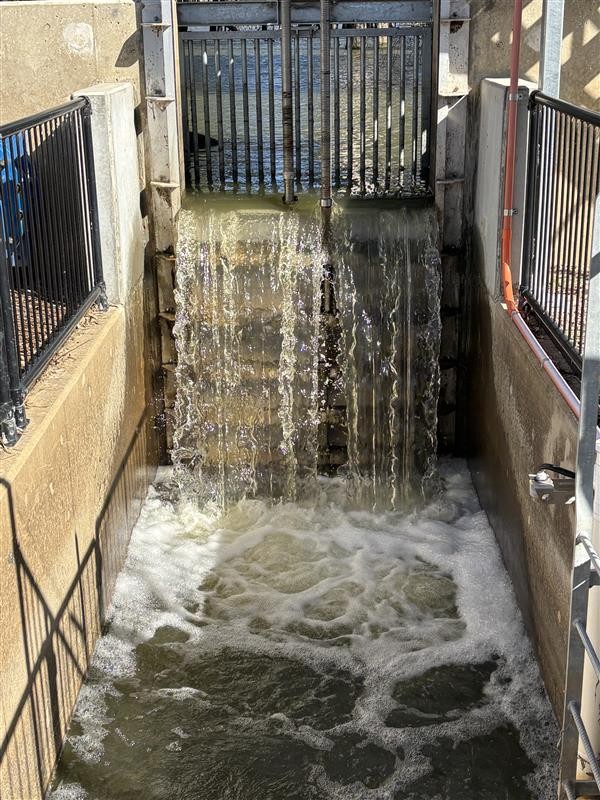 Environmental Water tweet media