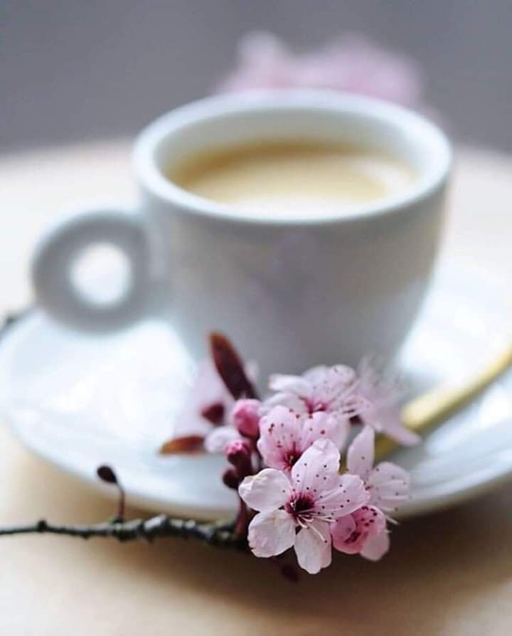 dragos2004's tweet image. Enjoy Your Coffee! ☕️
#coffee #cofeetime