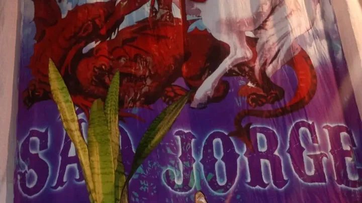 gilsonribeiro3's tweet photo. Feijuca da Mãe Loira. Em homenagem a São Jorge Guerreiro!!!
❤️❤️❤️❤️❤️❤️❤️❤️❤️❤️
#gilsonacayati #gilsonamãeloira 
#gilsonamaeloira #gilsona 
#fypシ゚viralシfypシ゚ https://t.co/TacUnFXFB2