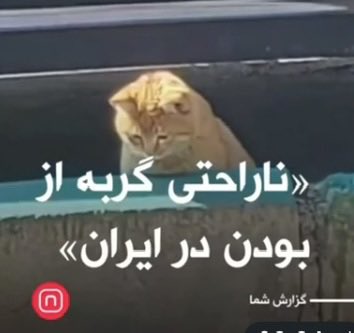 mellmellyy tweet media