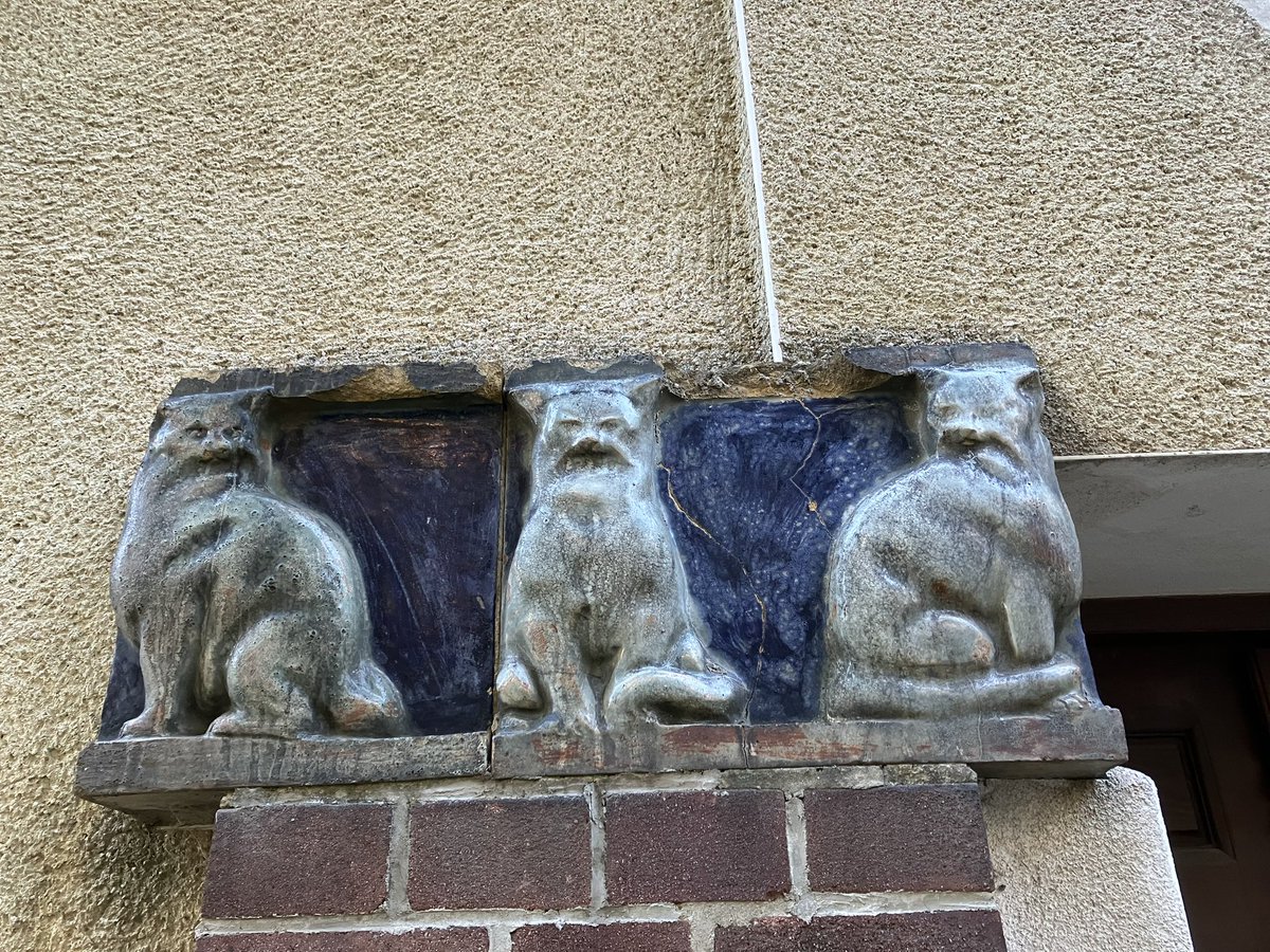 Ben am ewigen Glitzerwasser 🌈🖤 tweet media