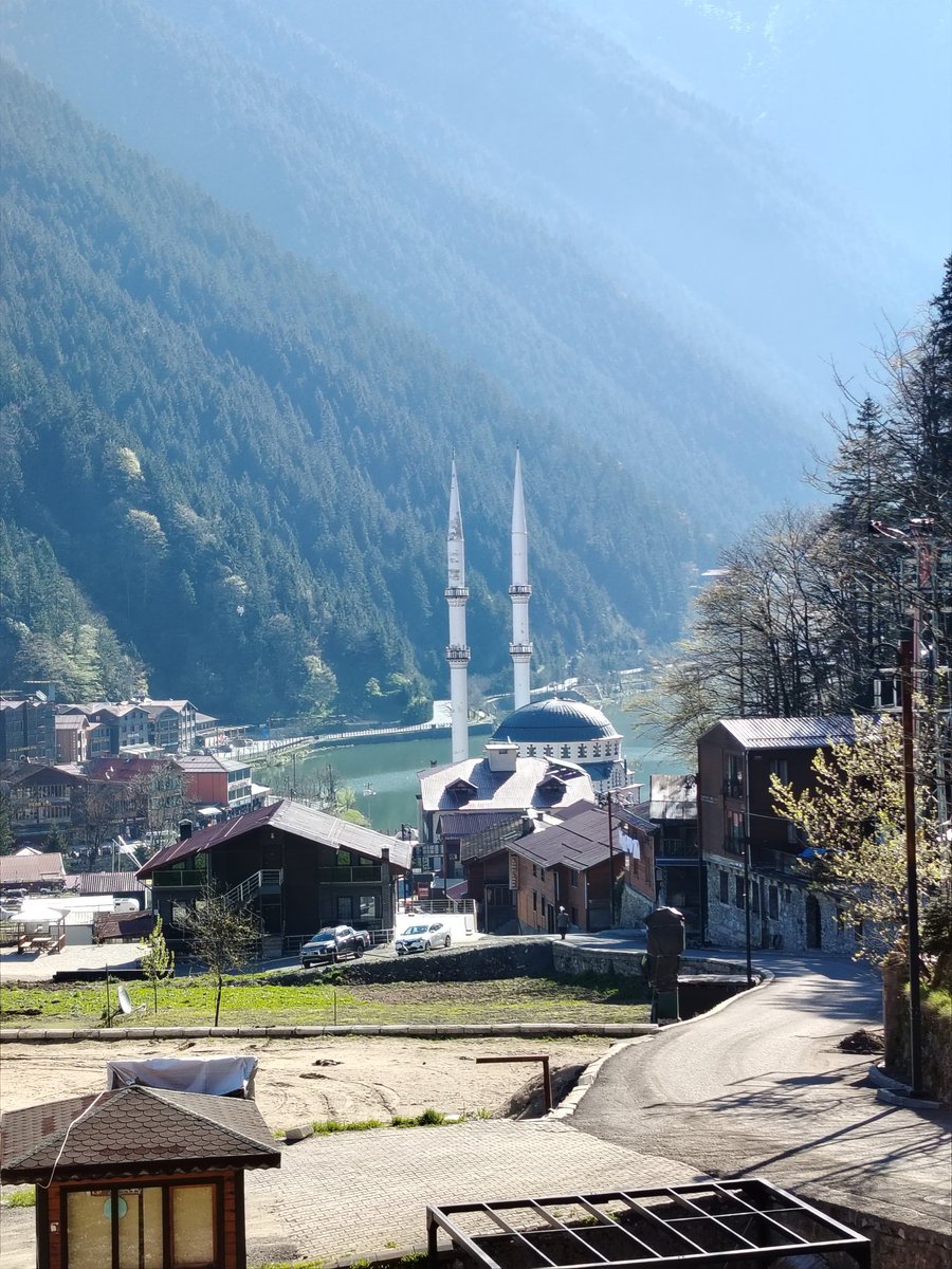 ȷɹ̤ᓄІɺl tweet media