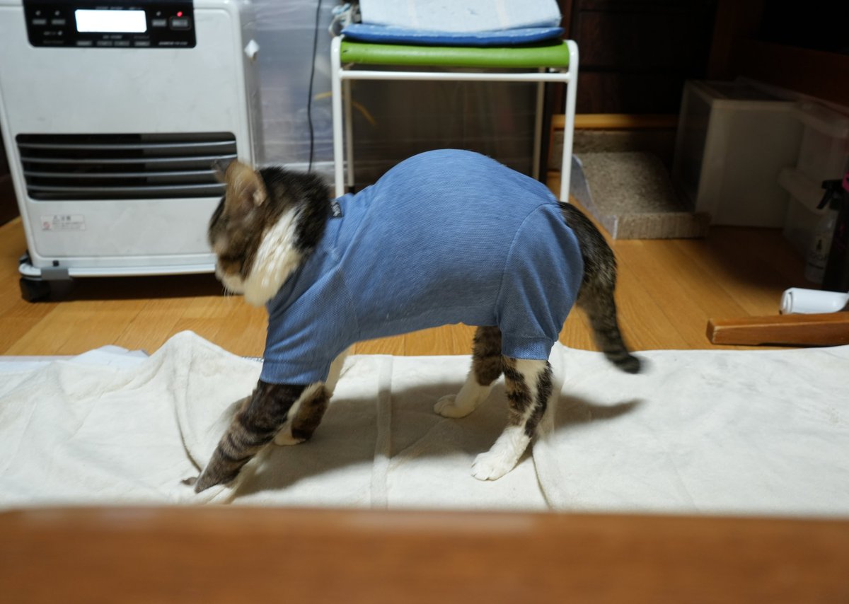 あぶさん tweet media