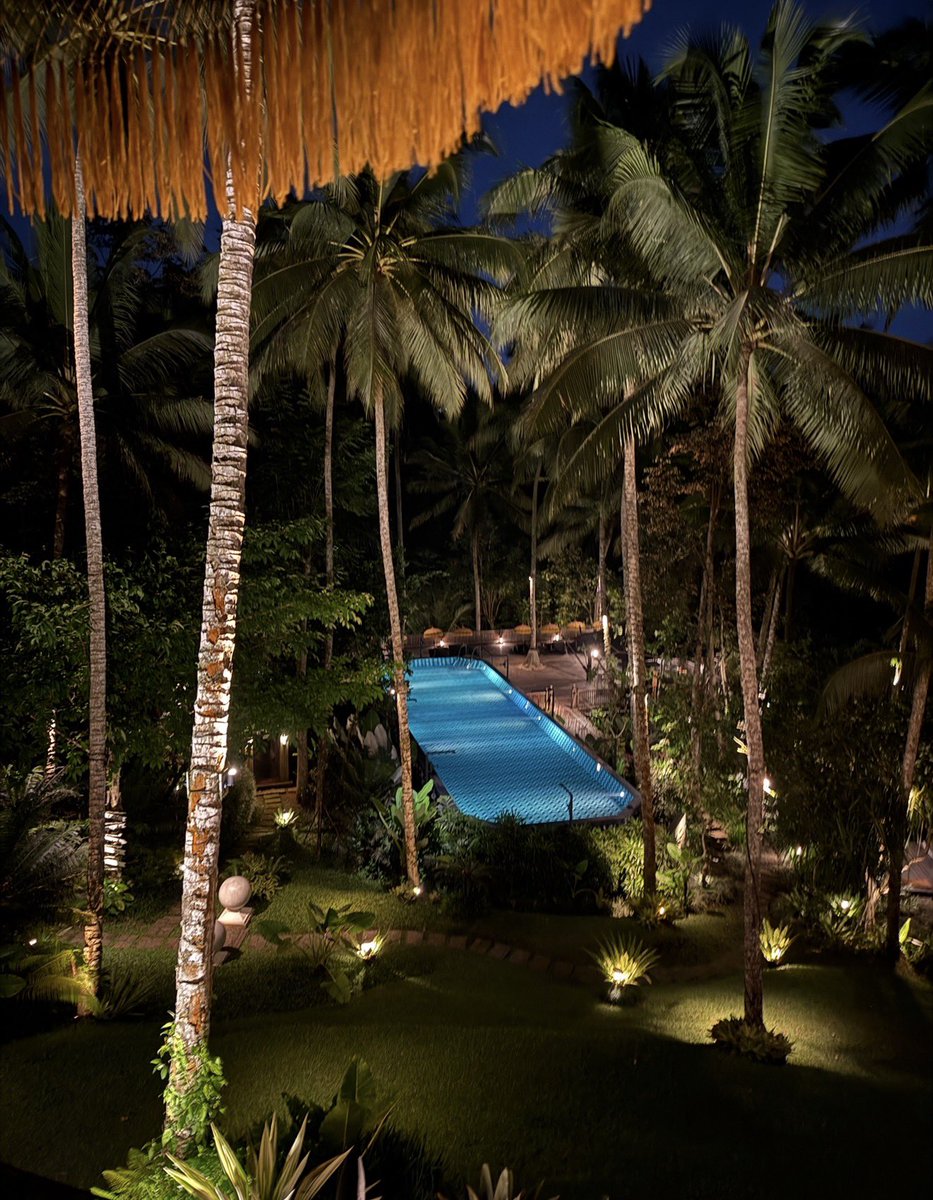 timothysykes's tweet image. 1am study/dream check, who’s still up studying/hustling hard to build your dream life over time…I’m in #bali for a Few days opening some new schools with my charity and getting ready for my Texas student meetup next week! 

Who wants to be successful so bad you can taste it?!