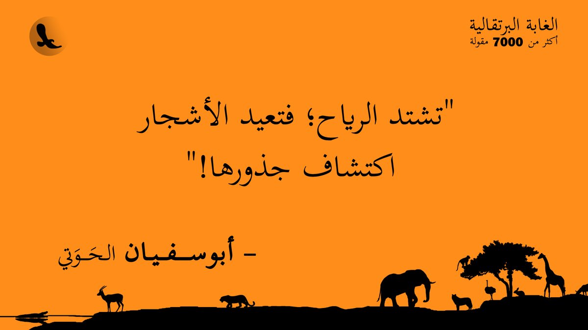 أبو سفيان tweet media