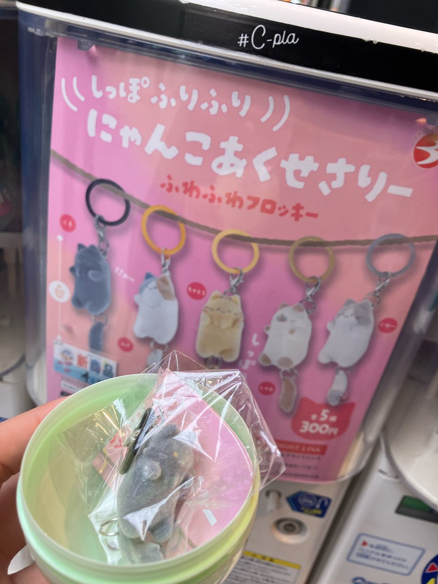 ハルシオン tweet media