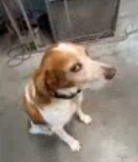 الحب tweet media