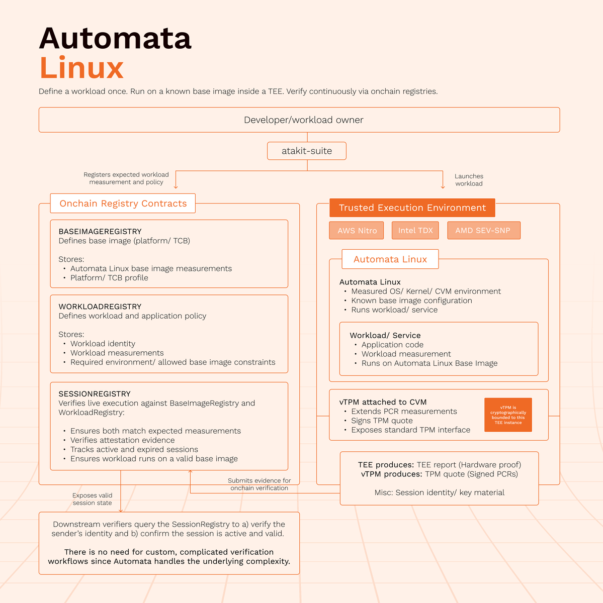 Automata Network tweet media