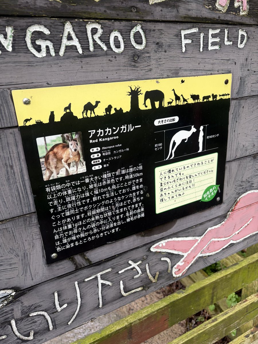 うらら(しんや)@PWH tweet media