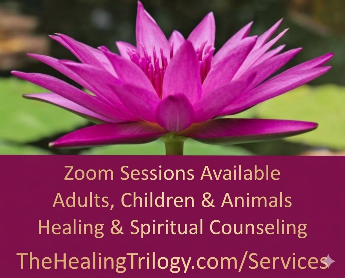 HealingTrilogy's tweet image. Kimberly’s unique technique of blinking and using her hands to scan over your entire body are highly accurate. #fastest #NDE #holyspirit 

Book your session with Kimberly Meredith, Medical Intutive Healer ✨
thehealingtrilogy.com/schedule-appoi…