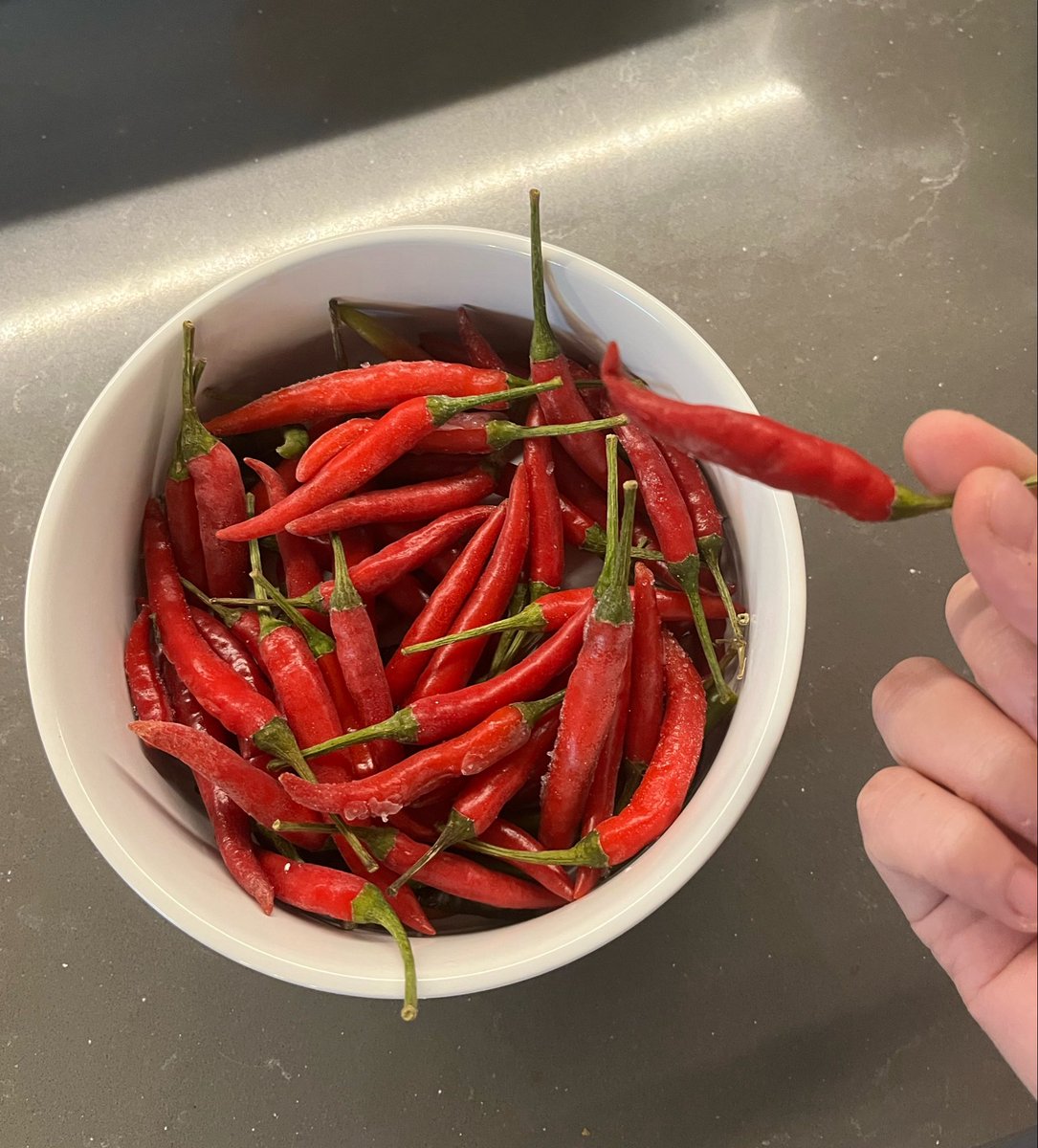 Eclipse⁷ tweet media