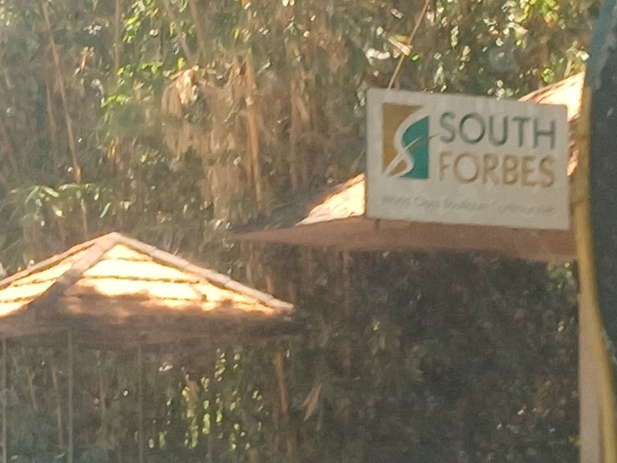 SHAII || TSW🥰 tweet media