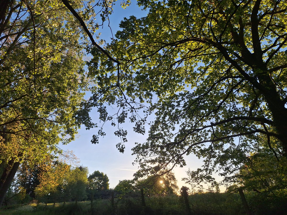 HBlaton's tweet photo. Pajottegem 07.13 uur #vrtweer https://t.co/Nuu5d2O39p