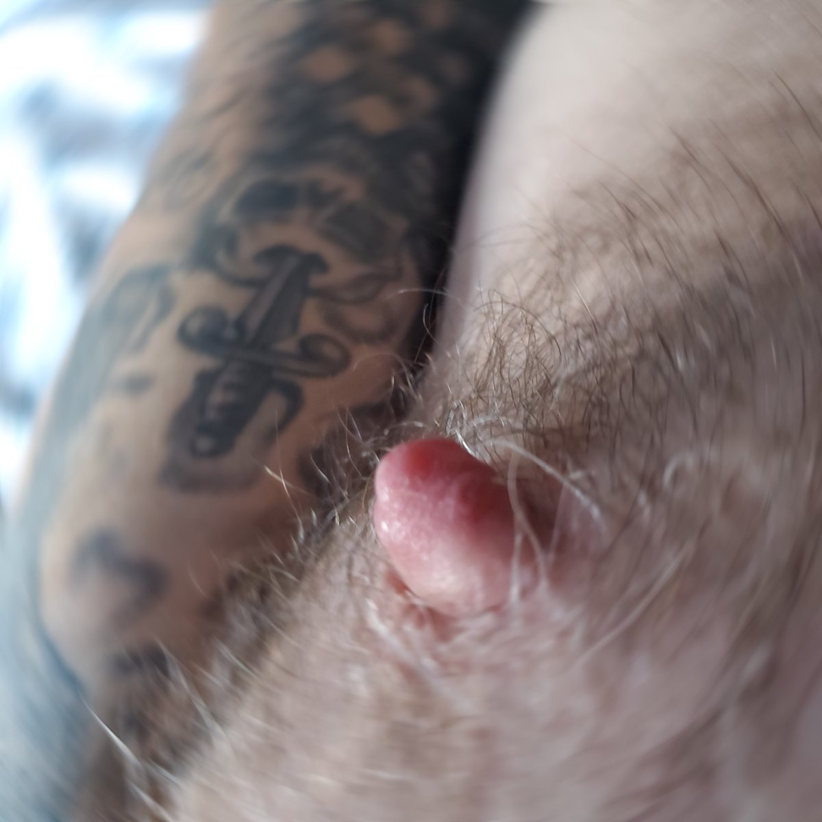 Naked Z28. 💋🌟👑 tweet media