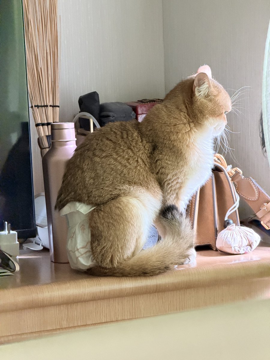 Nastar & Kara tweet media