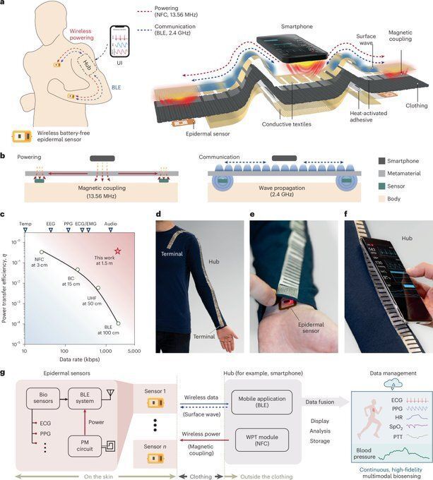 Ronald_vanLoon's tweet image. Battery-free textile turns clothing into a real-time blood pressure monitor
by Ingrid Fadelli @TechXplore_com

Learn more: bit.ly/48p33Ln

#Innovation #EmergingTech #Technology