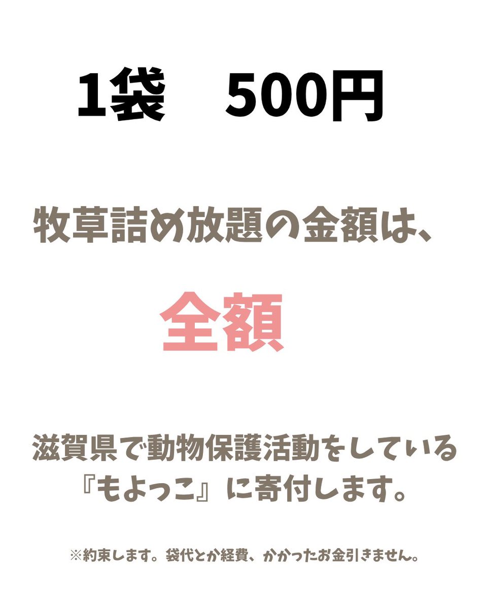 うさcafe tweet media