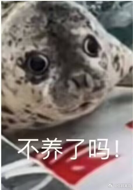 面条子坨了 tweet media