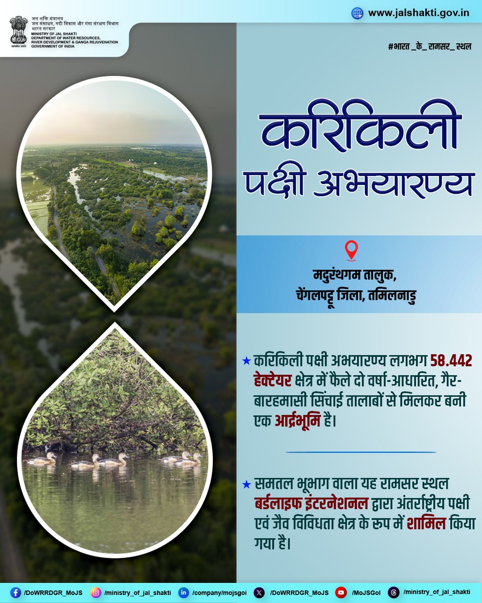 DoWRRDGR_MoJS's tweet image. करिकिली पक्षी अभयारण्य लगभग 58.442 हेक्टेयर क्षेत्र में फैली एक आर्द्रभूमि है, जो दो वर्षा-आधारित, गैर-बारहमासी सिंचाई तालाबों से मिलकर बनी है, जहाँ हजारों पक्षी सुरक्षित आश्रय पाते हैं। समुद्र तल से करीब 100 मीटर की ऊँचाई पर स्थित यह रामसर स्थल मुख्यतः समतल है, जहाँ कहीं-कहीं