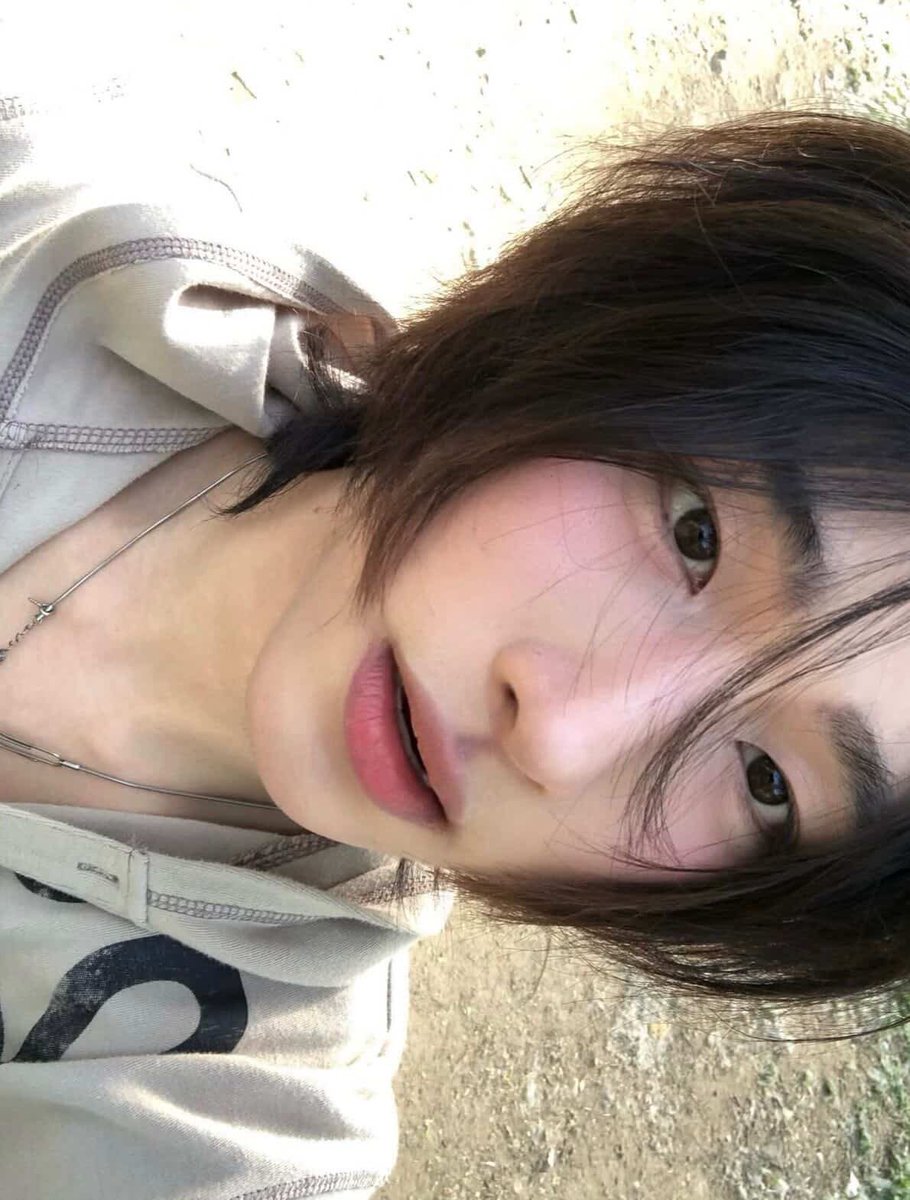 테디곰 tweet media