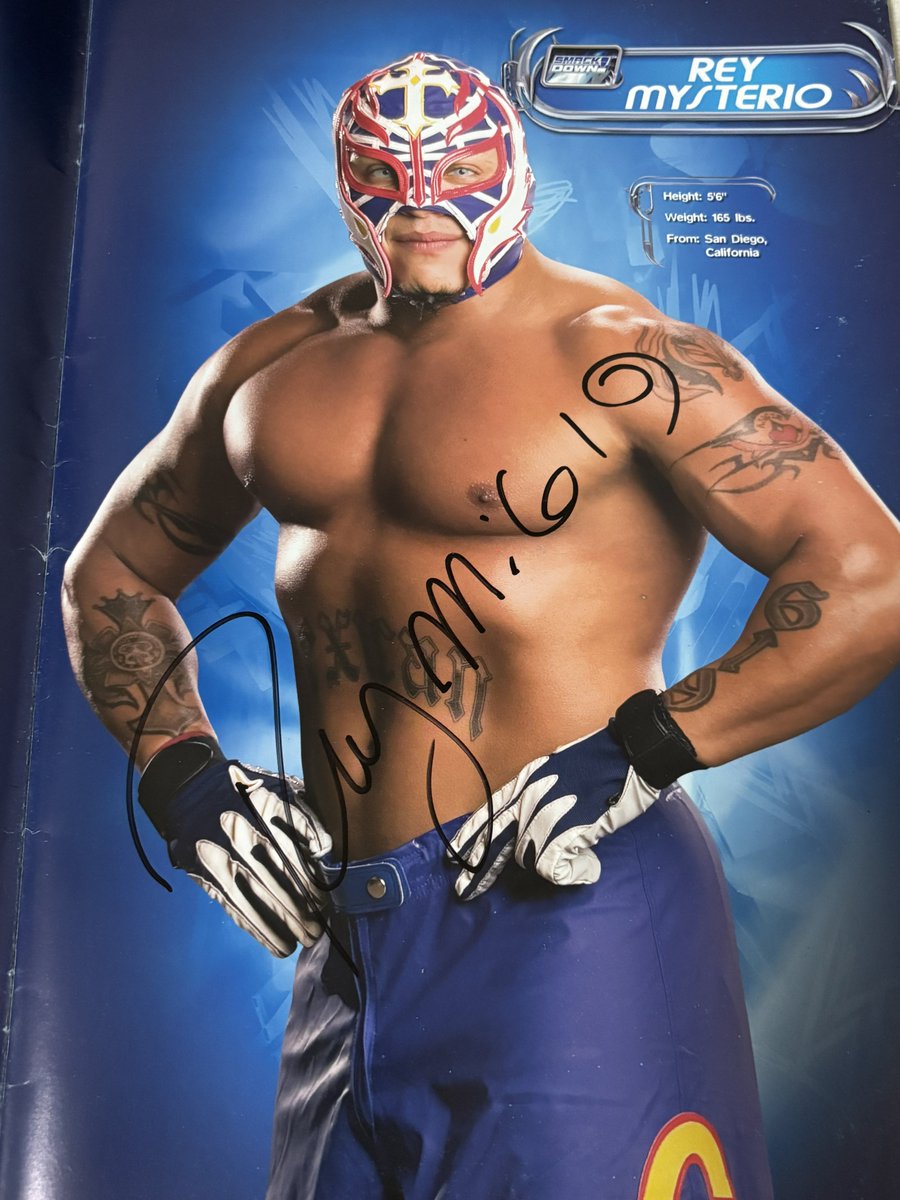 テキサスのガラガラ蛇　スティーブ・オースチン　直筆サイン色紙（WWEスター） テキサスのガラガラ蛇 スティーブ・オースチン 直筆サイン色紙（WWE