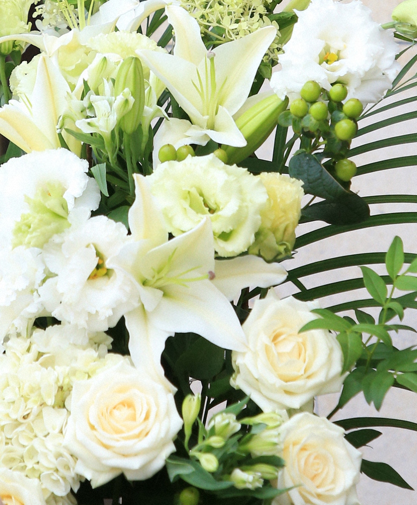 ライブドアニュース tweet media