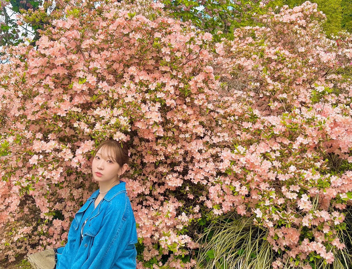 井上麻里奈 tweet media