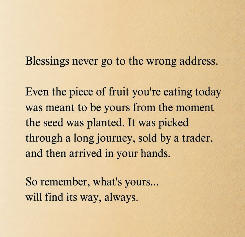 ayushi_HR_'s tweet photo. Maybe nothing is delayed you’re just seeing it too early. 
Like a fruit’s journey from seed to plate, everything takes time, unseen effort, and the right moment.
Delays aren’t denials. 

Trust the timing what’s meant will find its way.✨ https://t.co/aTN0Dh8lf9