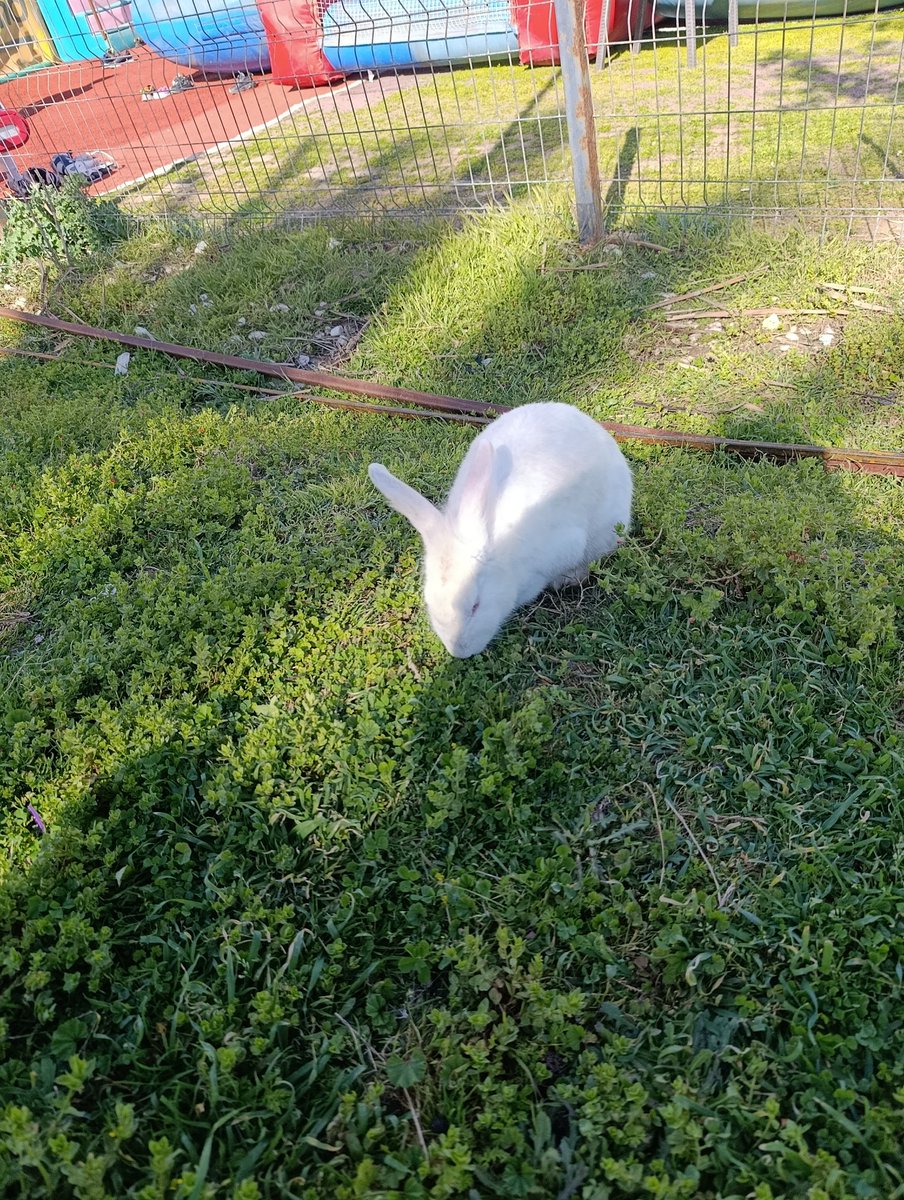 İbrahimoloji tweet media