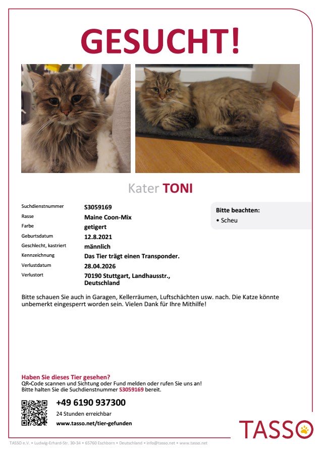 gruenspecht's tweet image. #Kater #Stuttgart