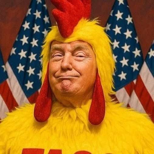 مهدیس tweet media