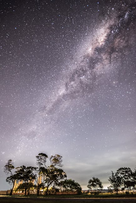 Lisa Gonzalez tweet media