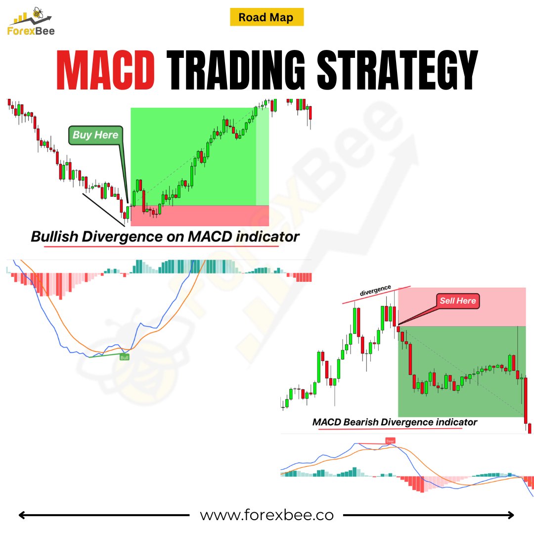 ForexBee tweet media