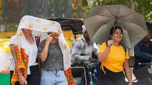 GNGAgritech's tweet image. Heatwave Survival Guide: WHO’s Smart Tips To Keep Your Home Cool
greenstories.co.in/heatwave-survi…
#climate, #climatechange, #cooling, #environment, #getgreengetgrowing, #globalwarming, #gngagritech, #greenstories, #heatwave, #temperature