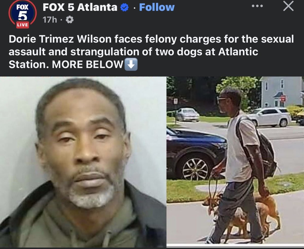 AlexAustin tweet media