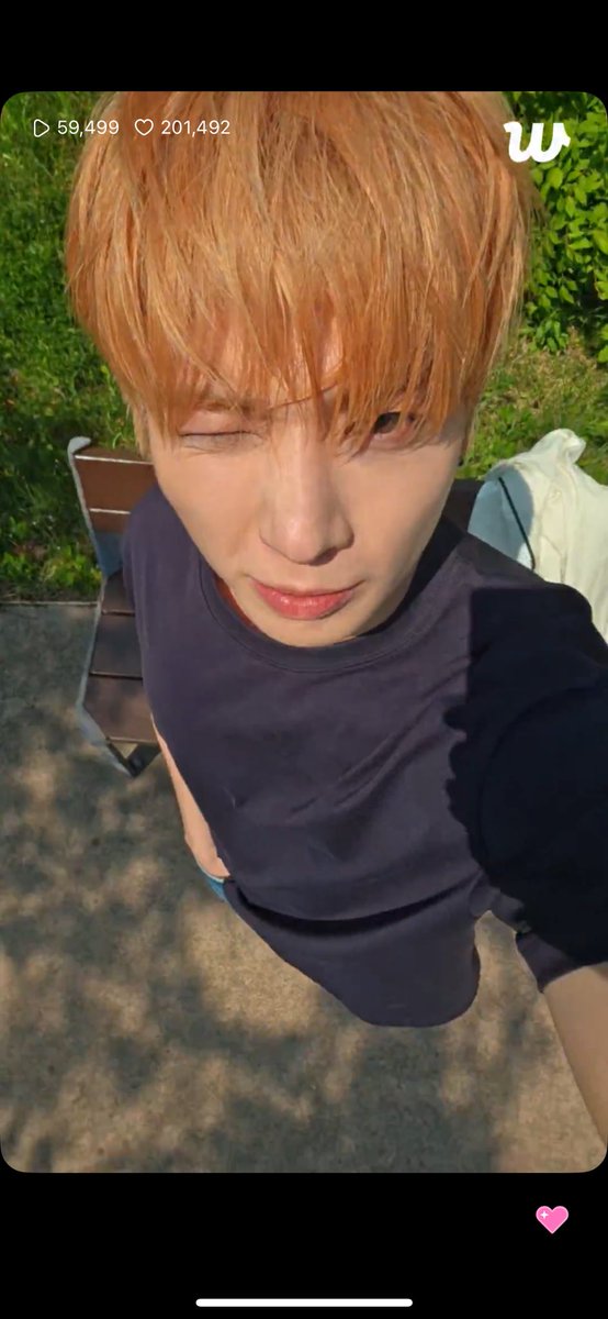 슈이 tweet media