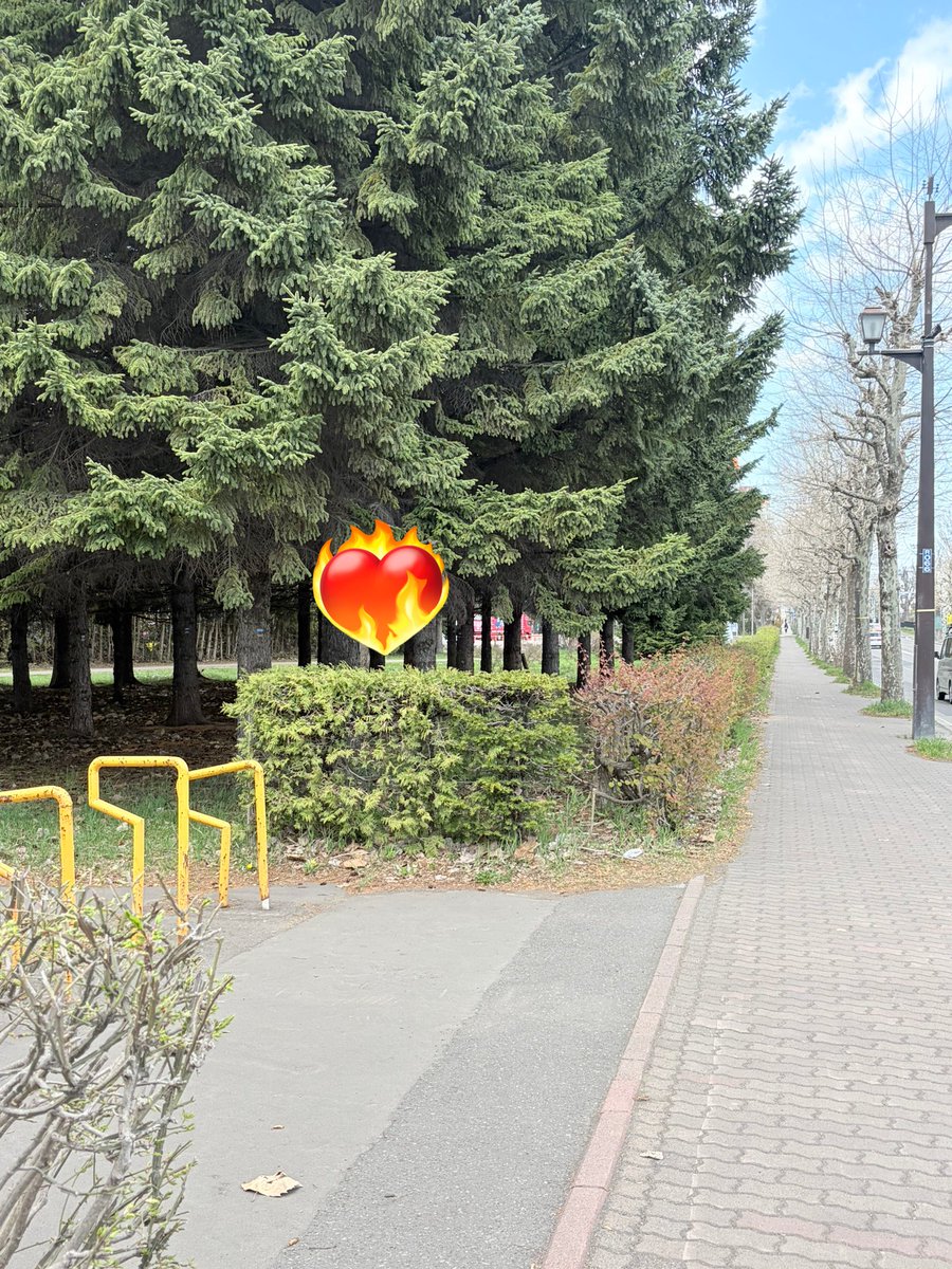 pii_gnu_'s tweet photo. あとはそのまままっすぐ行くと白い大きなアリーナが見えてきます🏟️
先に公園側に渡って、なんちゃってvinyl風の地下道を通るも良し、六花亭で美味しいもの調達するもよしです🌟 https://t.co/dt1XYIsBXo