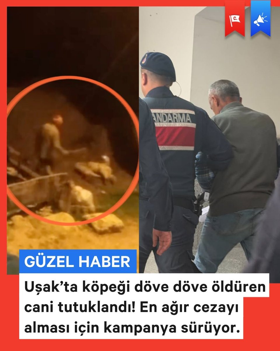Change.org Türkiye tweet media