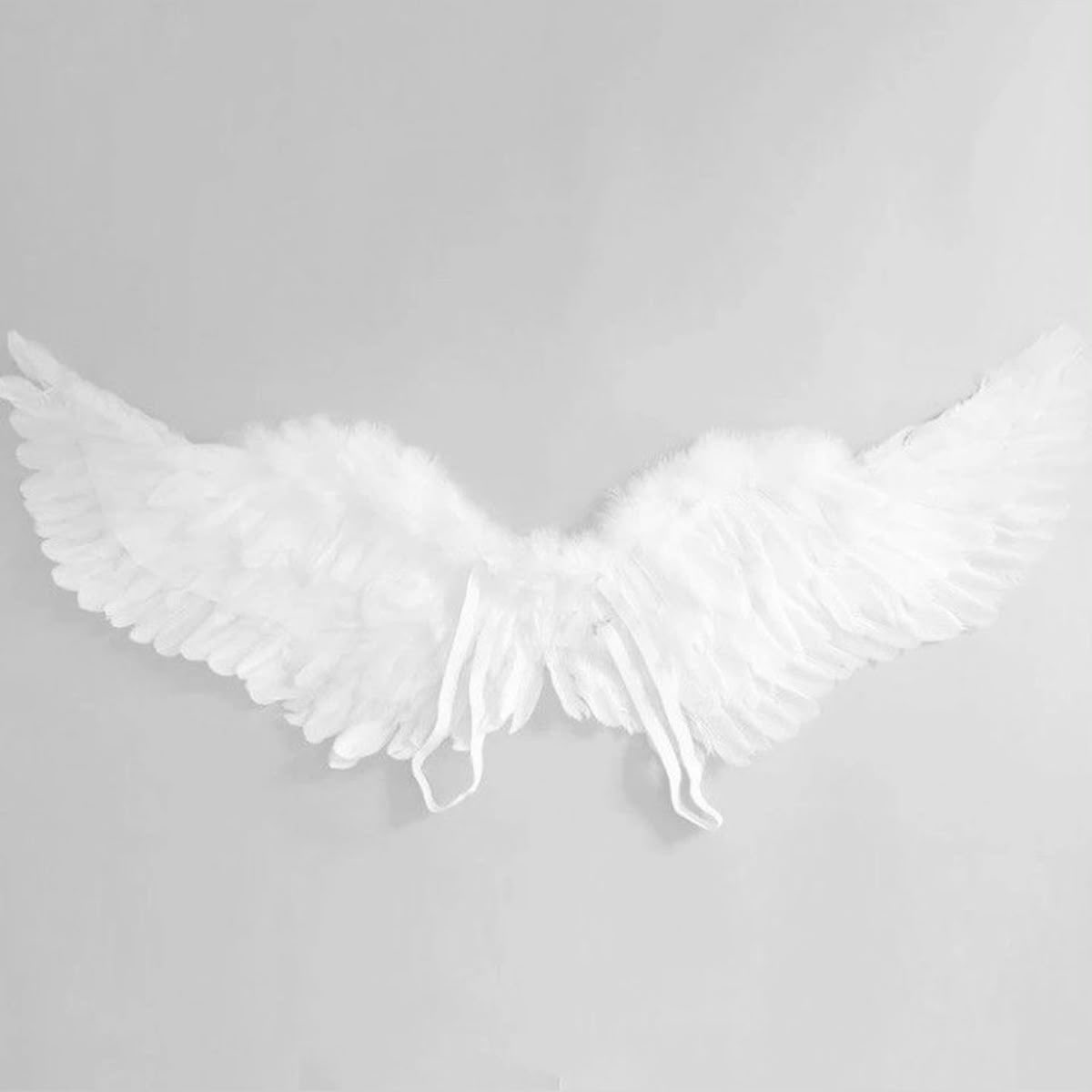 ♡ petitesugar tweet media