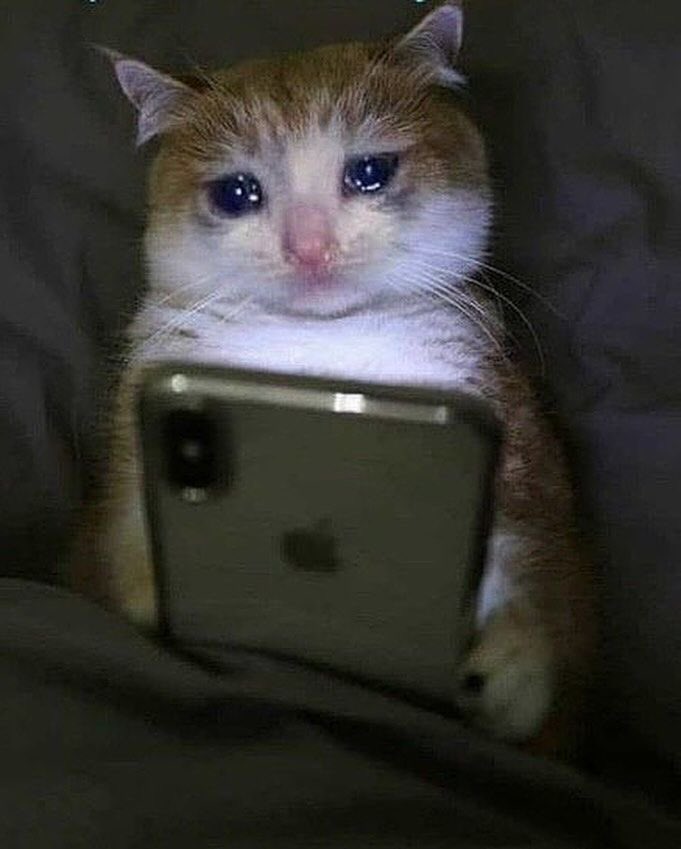 Kyo Art (Open Commission) tweet media