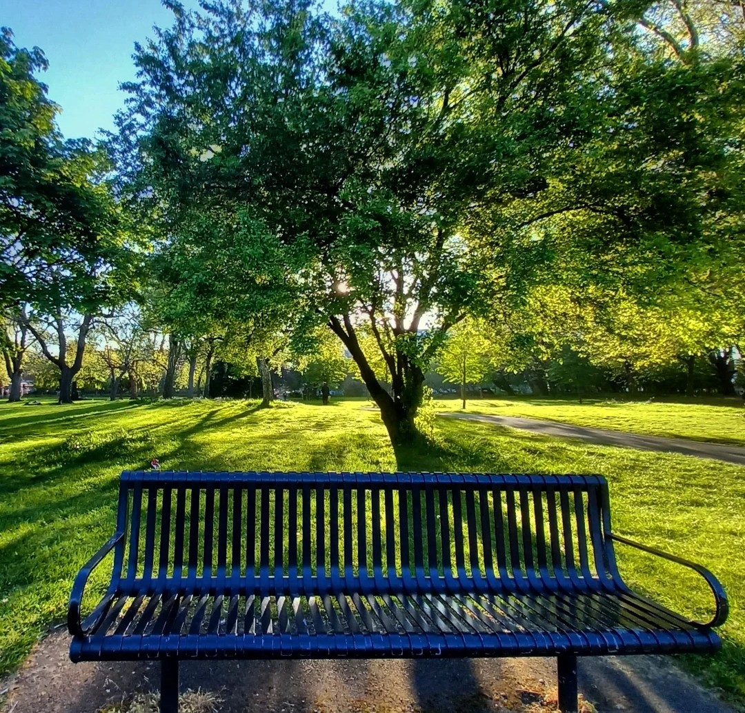MonicaCrimmins's tweet image. Yesterday I walked through Whitworth Park.  It looks so colourful and green now this springtime #Manchester