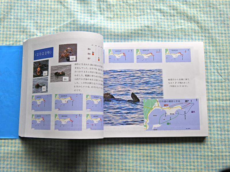 ＮＰＯ法人エトピリカ基金　片岡義廣 tweet media