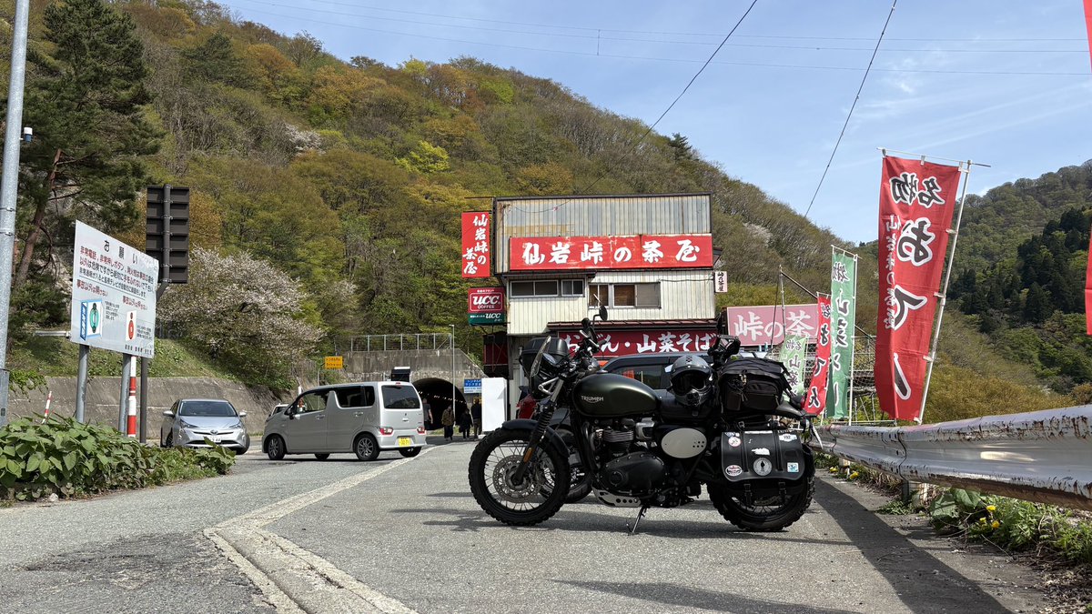 マスノスケ🇯🇵スクランブラー900🇬🇧 tweet media