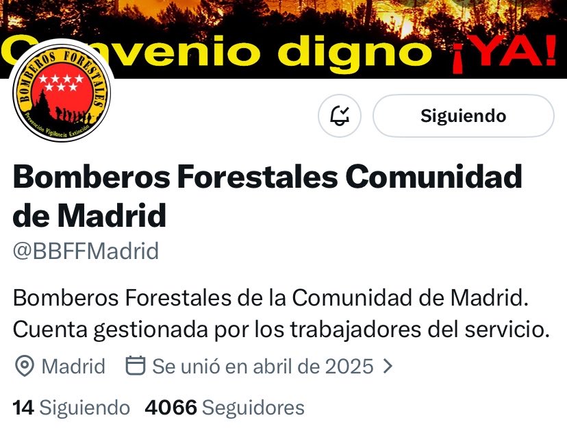 Los Bomberos forestales de Comunidad de Madrid, que se juegan la vida ...