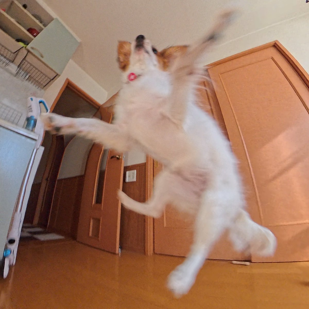 野口祥汰@【スラ無】第①巻発売中 tweet media