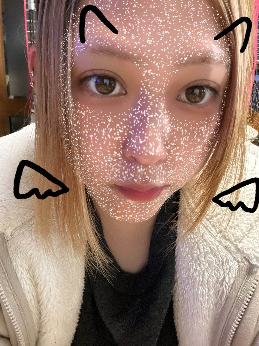 ぽんちゃん🐾 tweet media