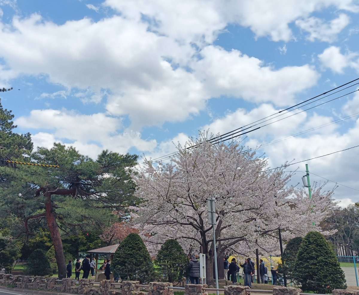 システマ札幌 / SYSTEMA SAPPORO【見学のみでも大歓迎!】 tweet media