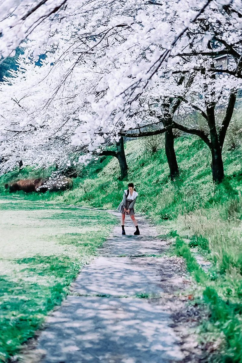 toshigu104's tweet image. EOS100 EF50mm F1.2 STM
#film #フィルム #一眼レフ
#フィルムカメラで撮りました

モデル：@arinn_1217(#ありん)